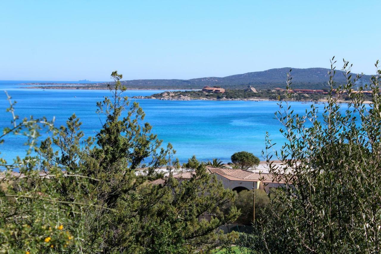 Casa Vacanze Il Cisto - Golfo Di Marinella Villa Porto Rotondo Exterior photo